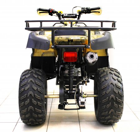 Квадроцикл Motoland ATV 250 Adventure