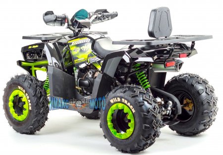  Motoland ATV 200 WILD TRACK