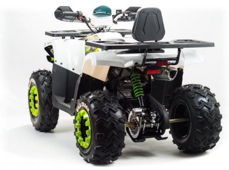 Квадроцикл Motoland ATV 200 WILD TRACK LUX (2021 г.)