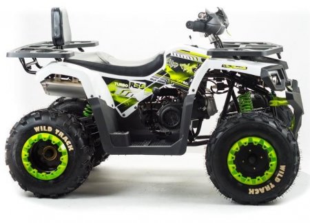 Квадроцикл Motoland ATV 200 WILD TRACK LUX (2021 г.)