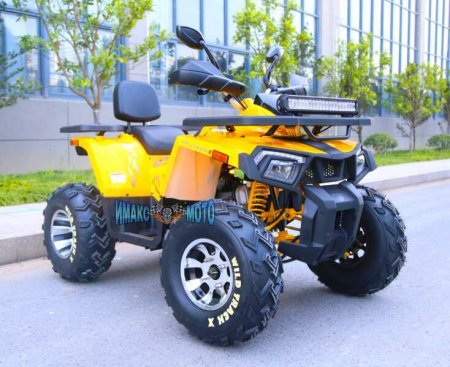 Квадроцикл Motoland ATV 200 WILD TRACK X PRO (2021 г.)