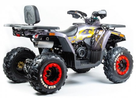 Квадроцикл Motoland ATV 200 WILD TRACK X (2021 г.)