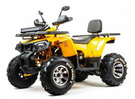  Motoland ATV 125 WILD X . .